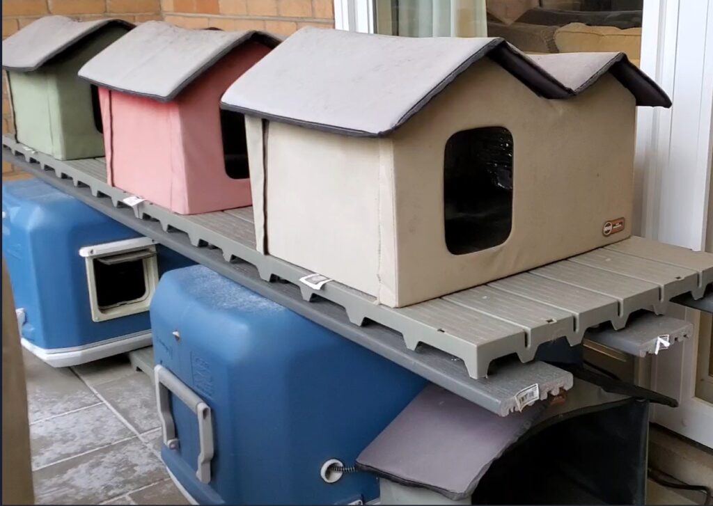 Multi level rows of cat shelters. Cooler shelters on the bottom and canvas shelters on top