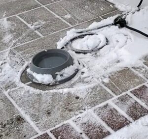 Heated water bowl surrounded by a dusting of snow
